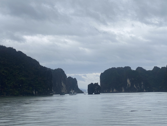 クルーズ船からの景色