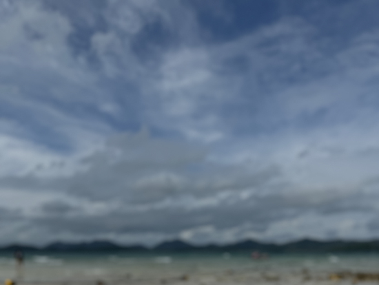 カイ島は猫がいっぱいいました。