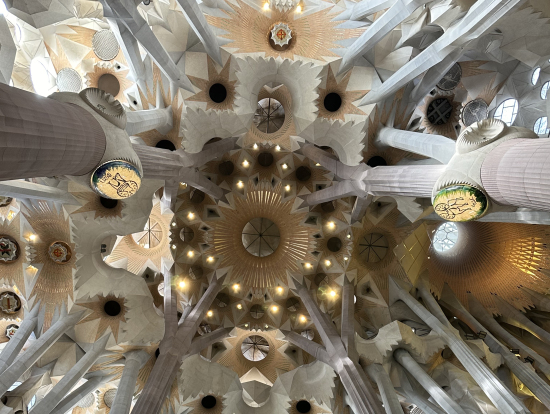 サグラダファミリアの中に入って見上げた写真です