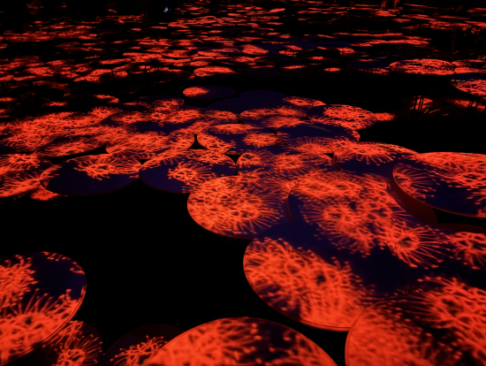 なんだかもうどこにいるのかわからなくなった場所のひとつ