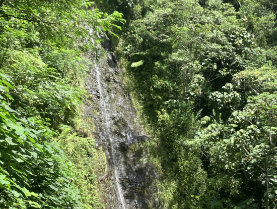 マノア滝