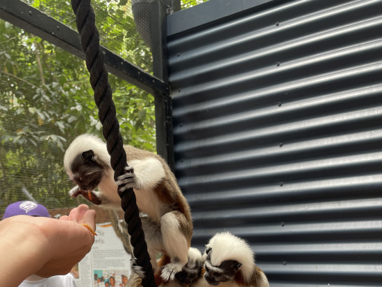 餌を直にあげました!