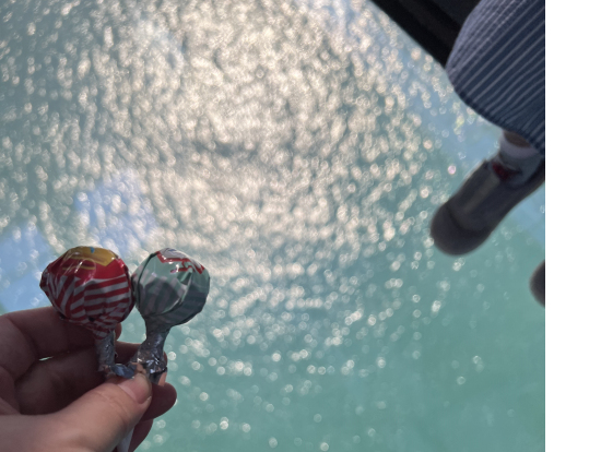 松島エアクルーズのクリスタルキャビン内1