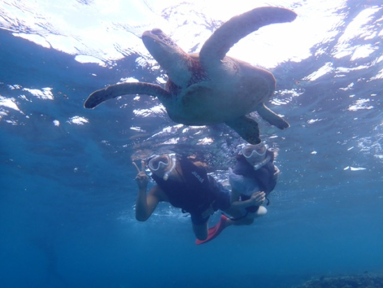 ウミガメショット！