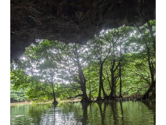 洞窟からの神秘的な写真。
