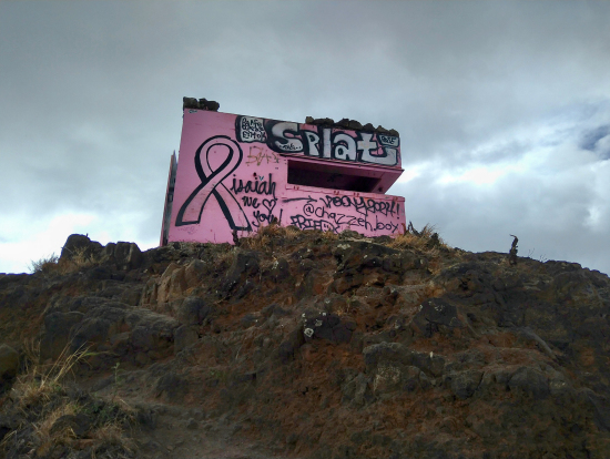 ピンクピルボックス山頂