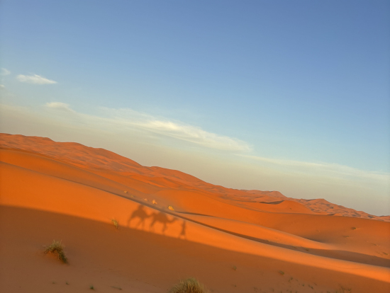 サハラ砂漠の夕陽