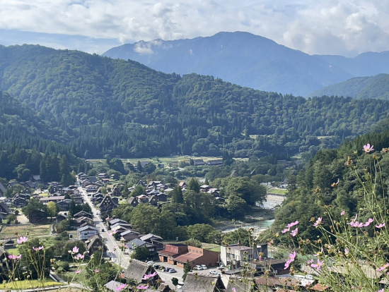 雄大な景色