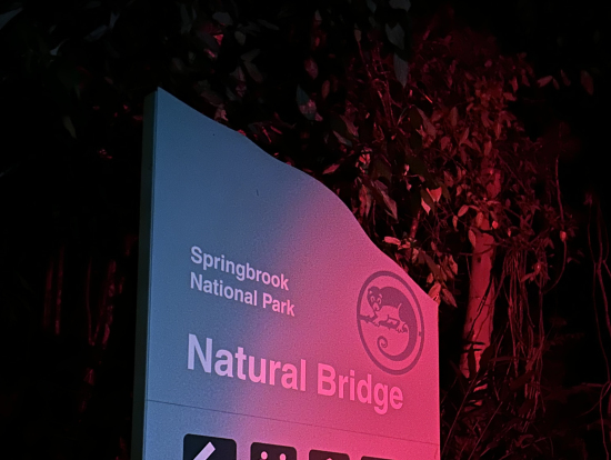 夜の国立公園はなんだか幻想的で素敵でした…！