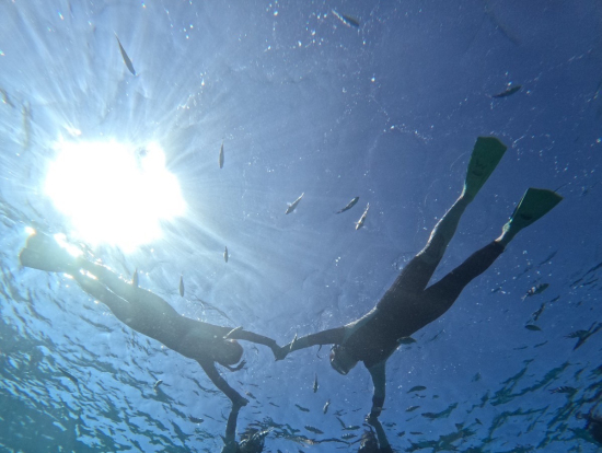 お魚がいっぱい