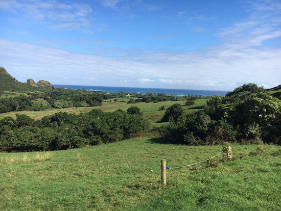 雄大な景色を楽しめます