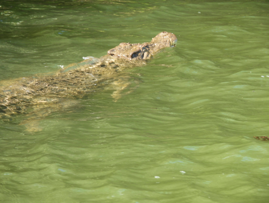 すごい近距離でした!