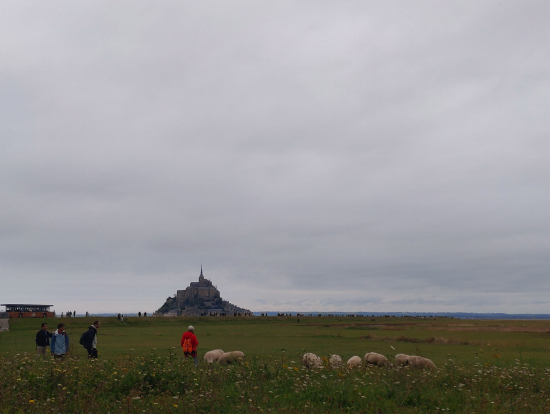 モンサンミッシェルと羊たち