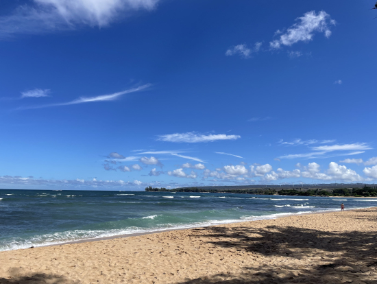 サンライズシェルの海辺