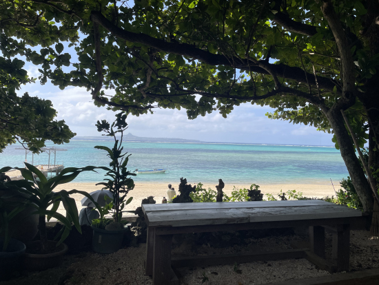 フクギ並木近くの木陰から覗いた海