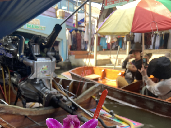 ココナッツアイス