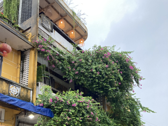 家屋withブーゲンビリア