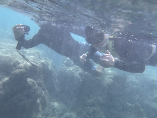 スマホ撮影写真