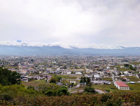 ピノ・ノワール畑からの甲府盆地
