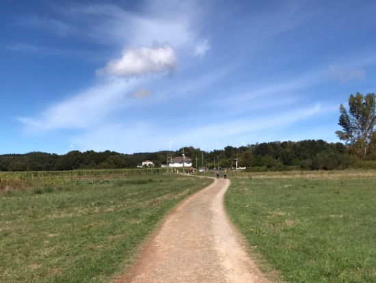 さえぎるものもないところの道