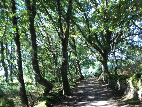 セラ村近くでは快適な環境です。