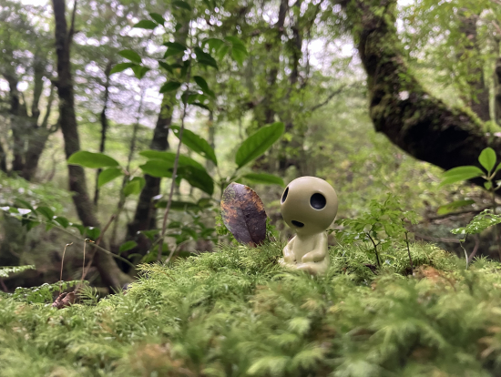 苔むす森の妖精