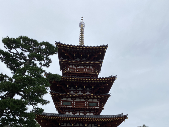 どっしり、歴史を感じる東塔❗️