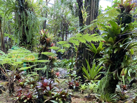 パイナップルはなかった！