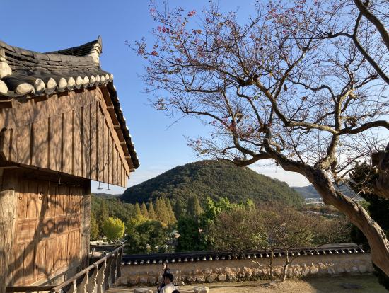 良洞村