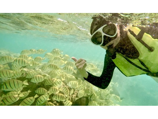 たくさんの魚を見れました!