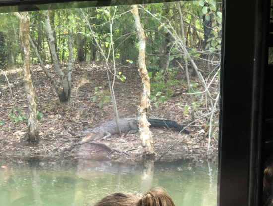 ラグーンクルーズ中