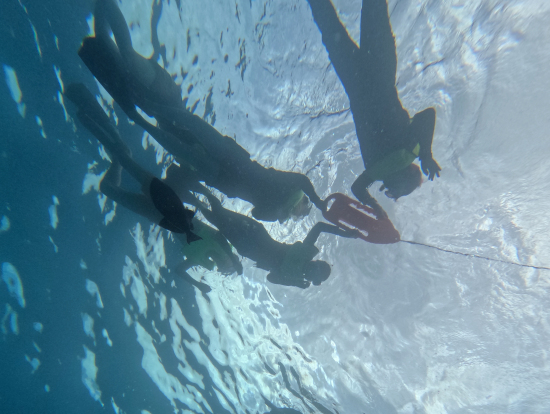 浮き輪に捕まりながら亀を追いかける私達参加者