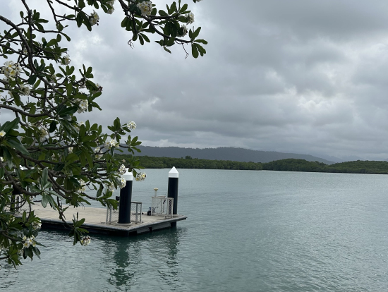 美しいポートダグラス