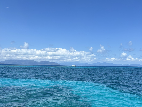 マンタとウミガメがお出迎え