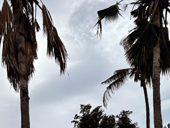 曇り空ですが飛ぶ時は晴れ
