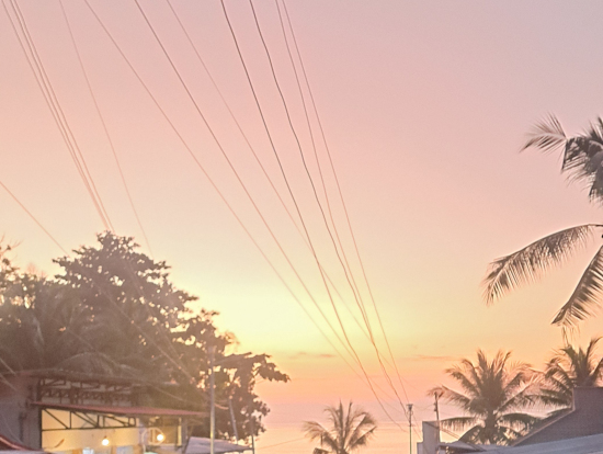 すでに長蛇の列。まずは受付するために並びます