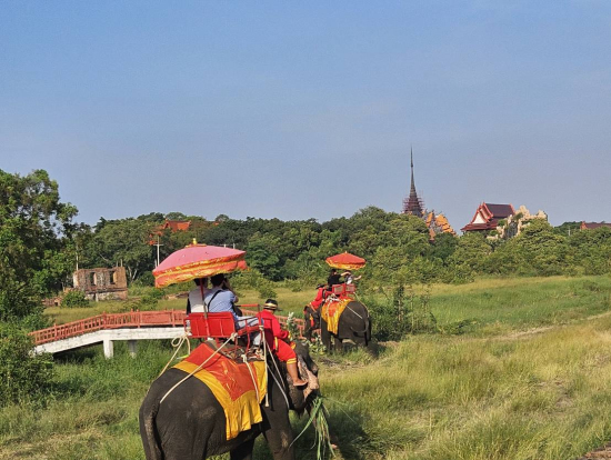 像の背中からの景色、最高の冒険でした!