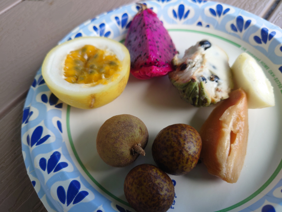 写真は食べた果物の一部です