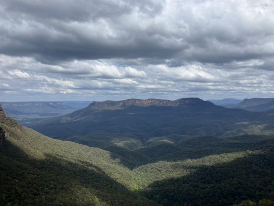ブルーマウンテン