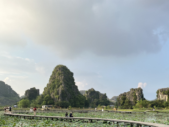 ムア洞窟下の蓮の水田