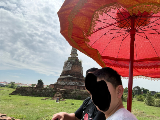 ゾウの背中から見る景色