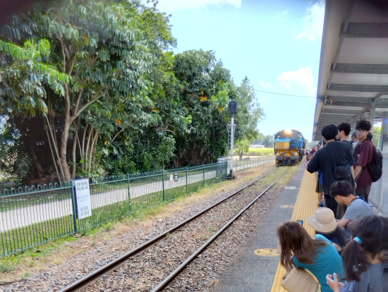 わくわくキュランダ鉄道の入線